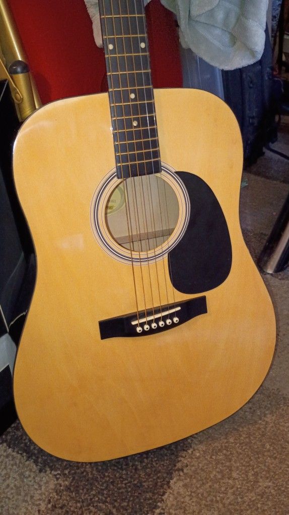 Acoustic Guitar I Even Have An Amp Separate Campus For Electric Guitar Works Perfect The Guitar Come For The Bag 