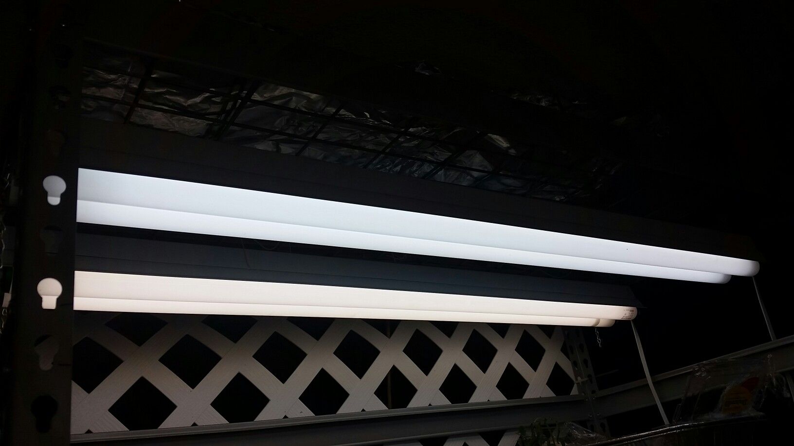 6-4ft T12 lights