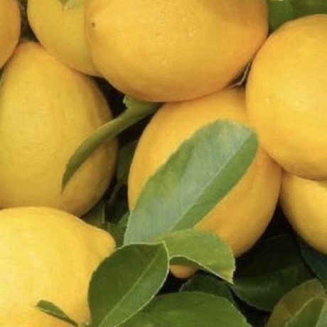 Lemons