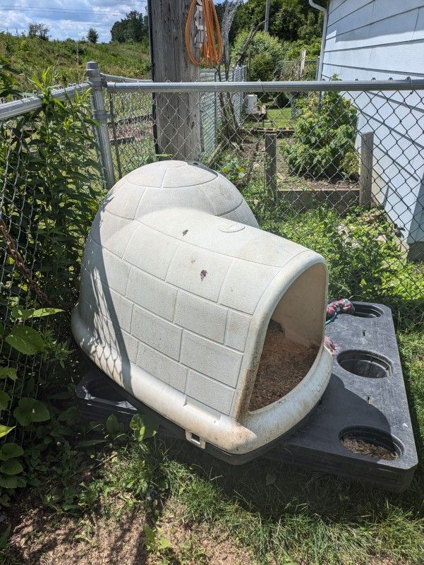 XXXL Dog House 50