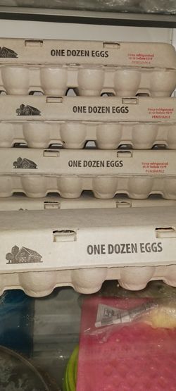 Organic Eggs (Huevo Organico)