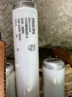 Free- fluorescent workshop light tubes and lamps.