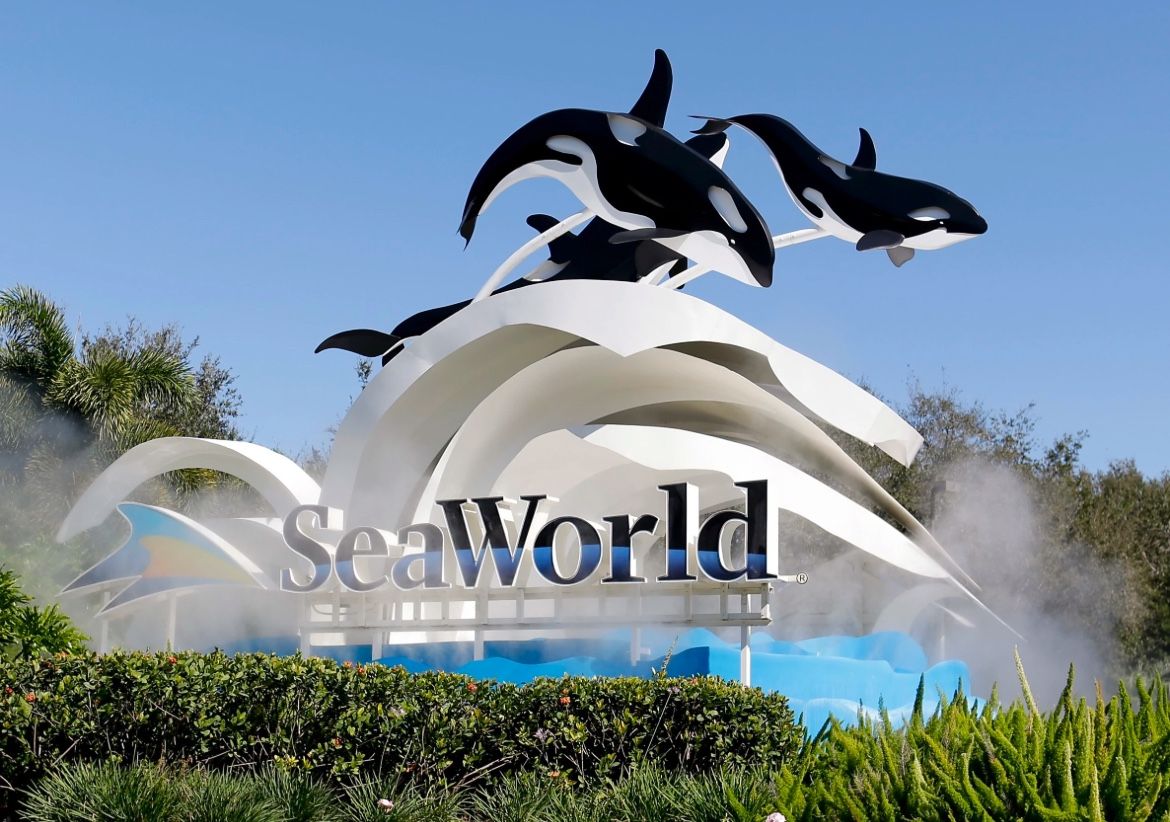 seaworld ect.