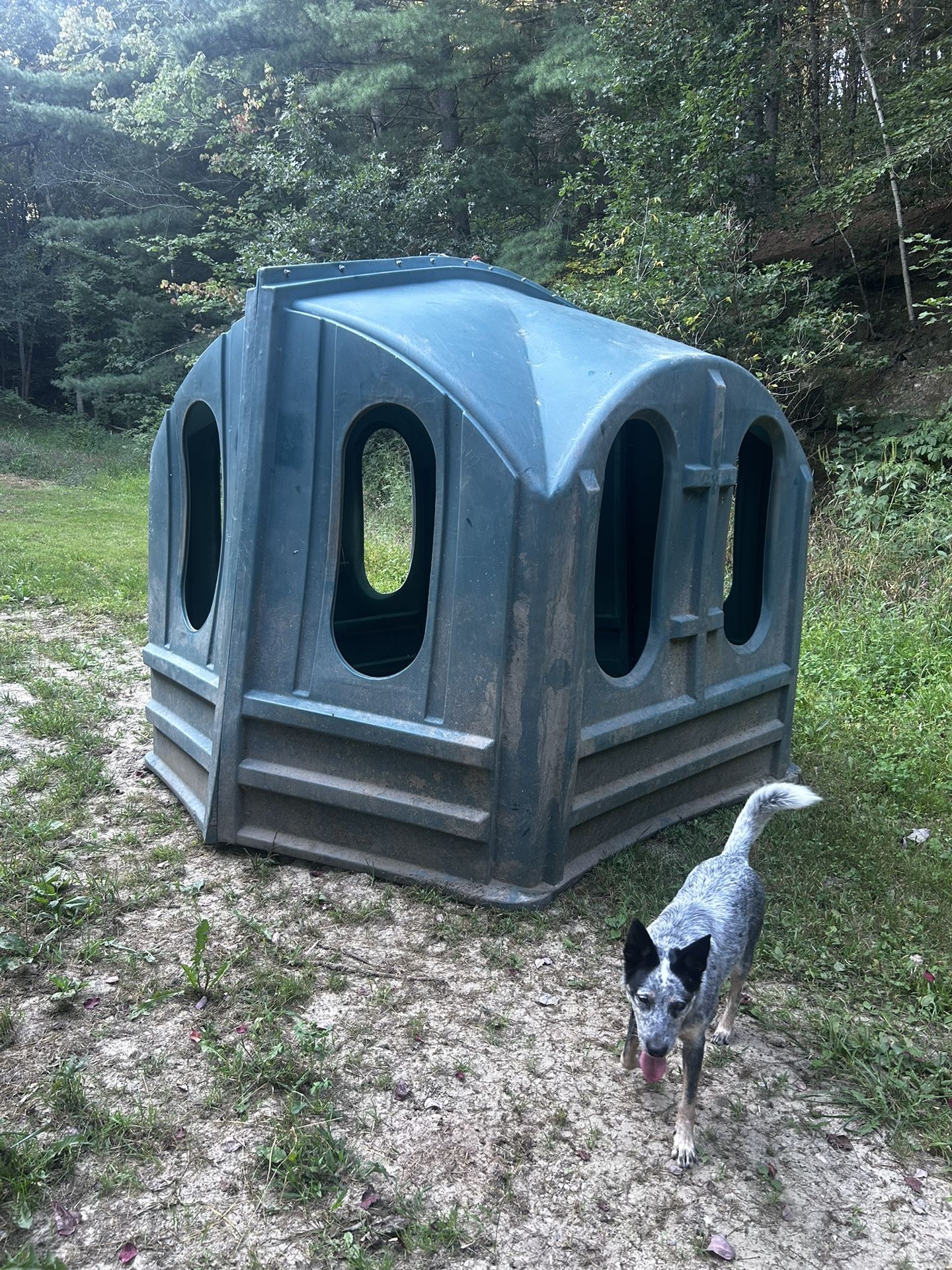 Hay Hut