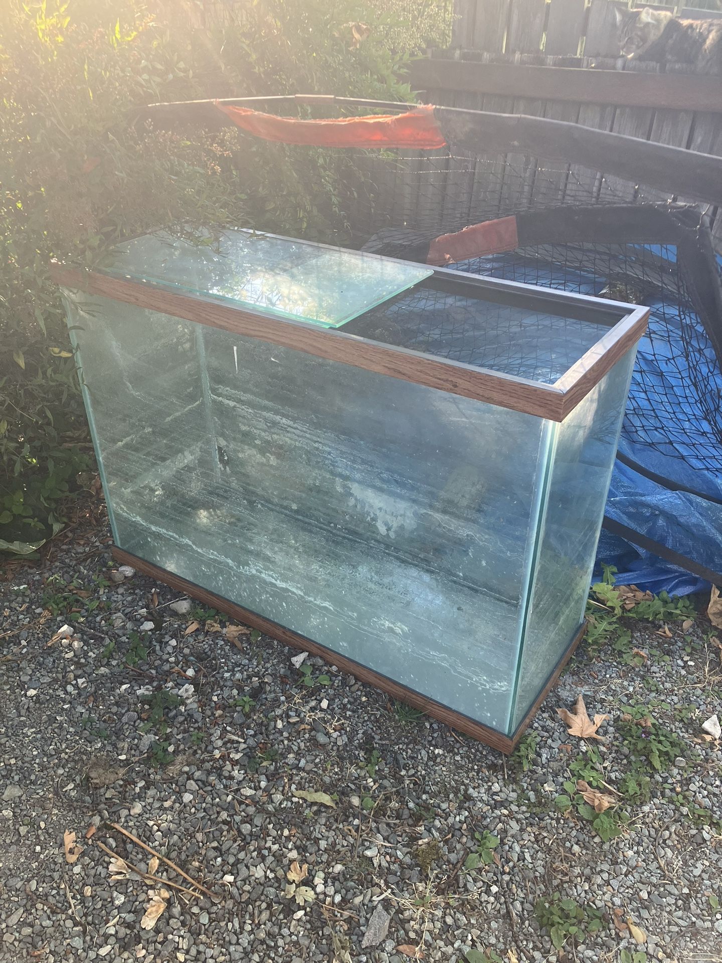 45 Gallon Aquarium