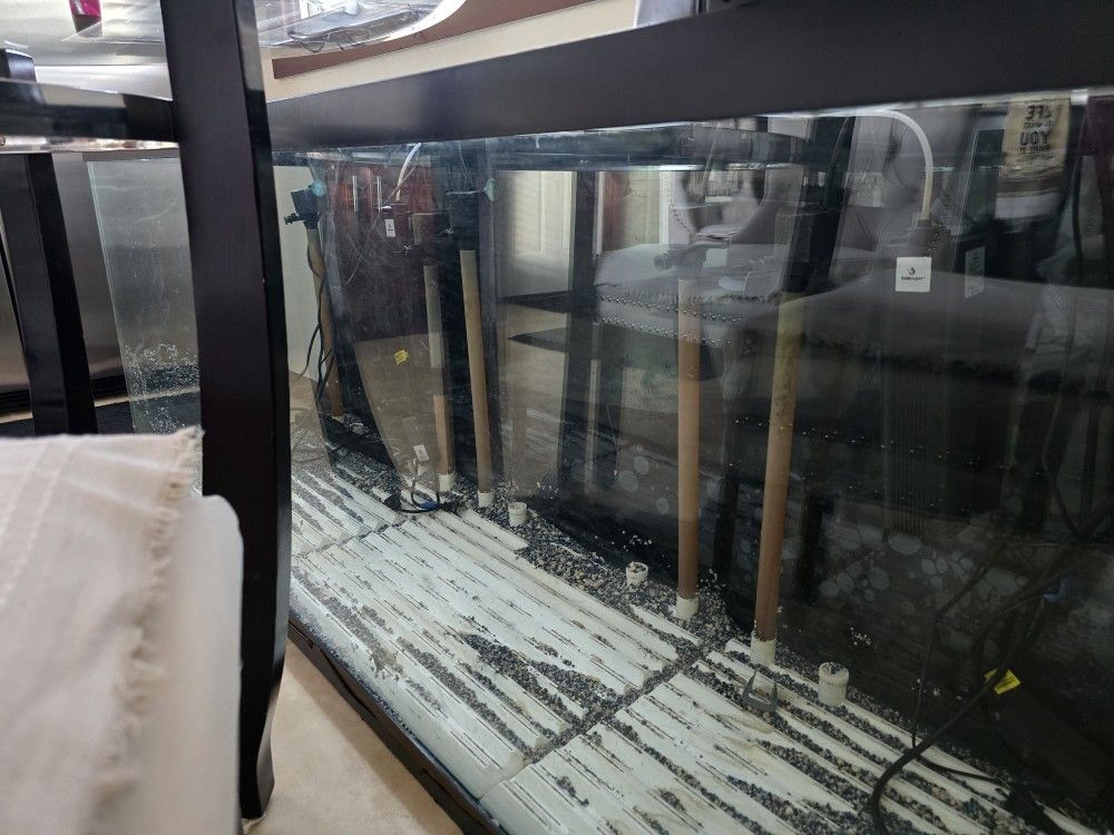 Complete 150 Gallon Fish Tank Setup