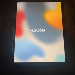 I Pad 12
