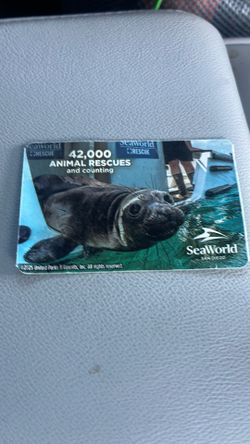 SeaWorld  Daypass
