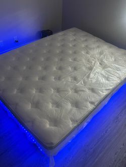 Queen Mattress/ Needs to be gone today