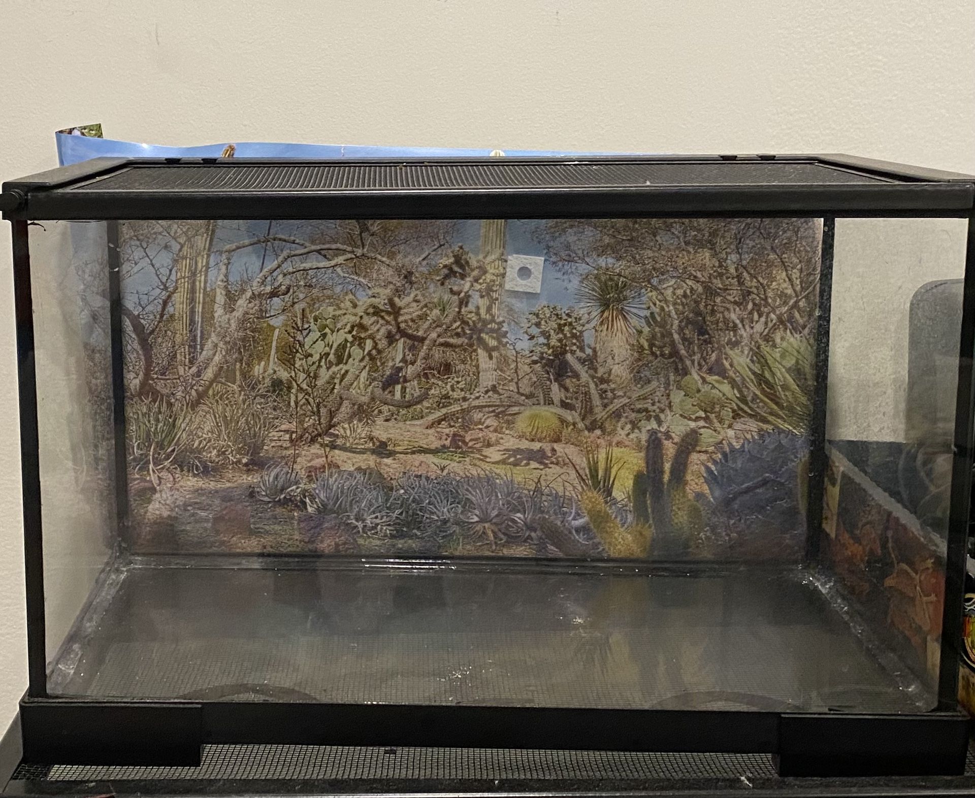 20 Gallon Terrarium