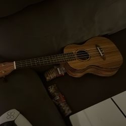 Ukulele 