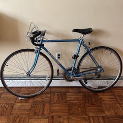 Road Bike for Sale in Jersey City NJ OfferUp