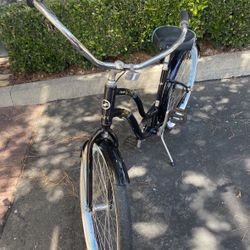 Giant Cruiser Bike Adult Size $100 OBO