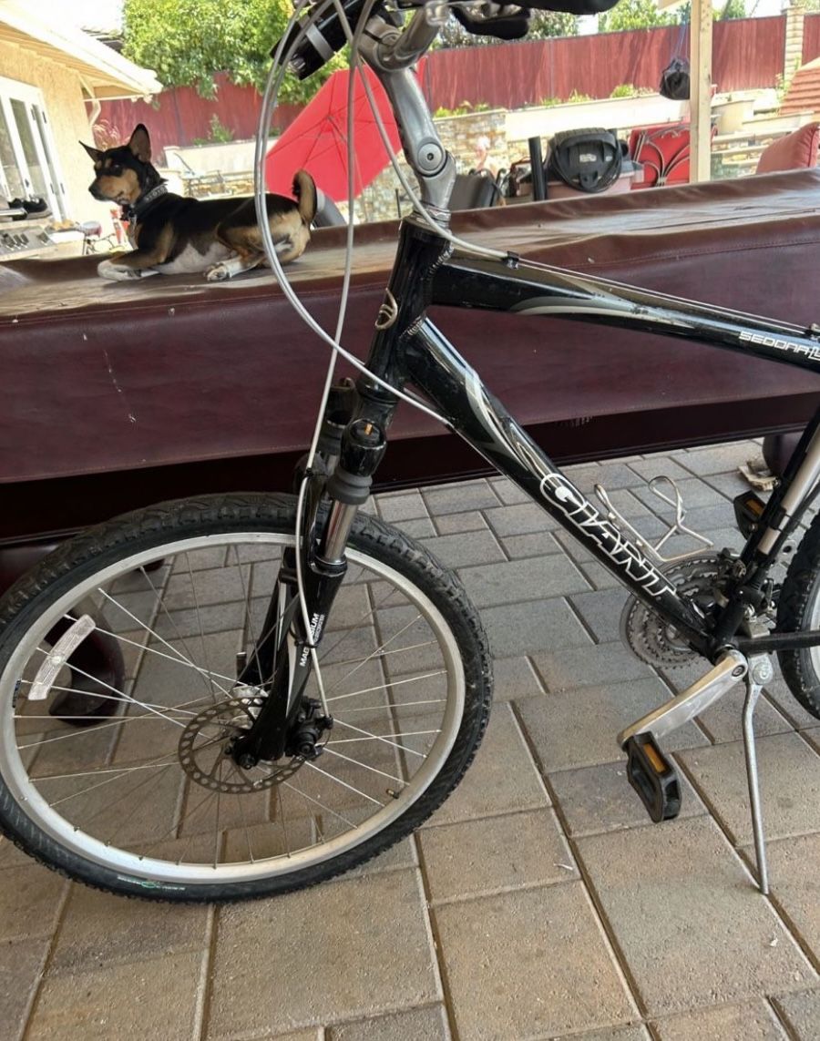 Giant Hybrid Bike26”