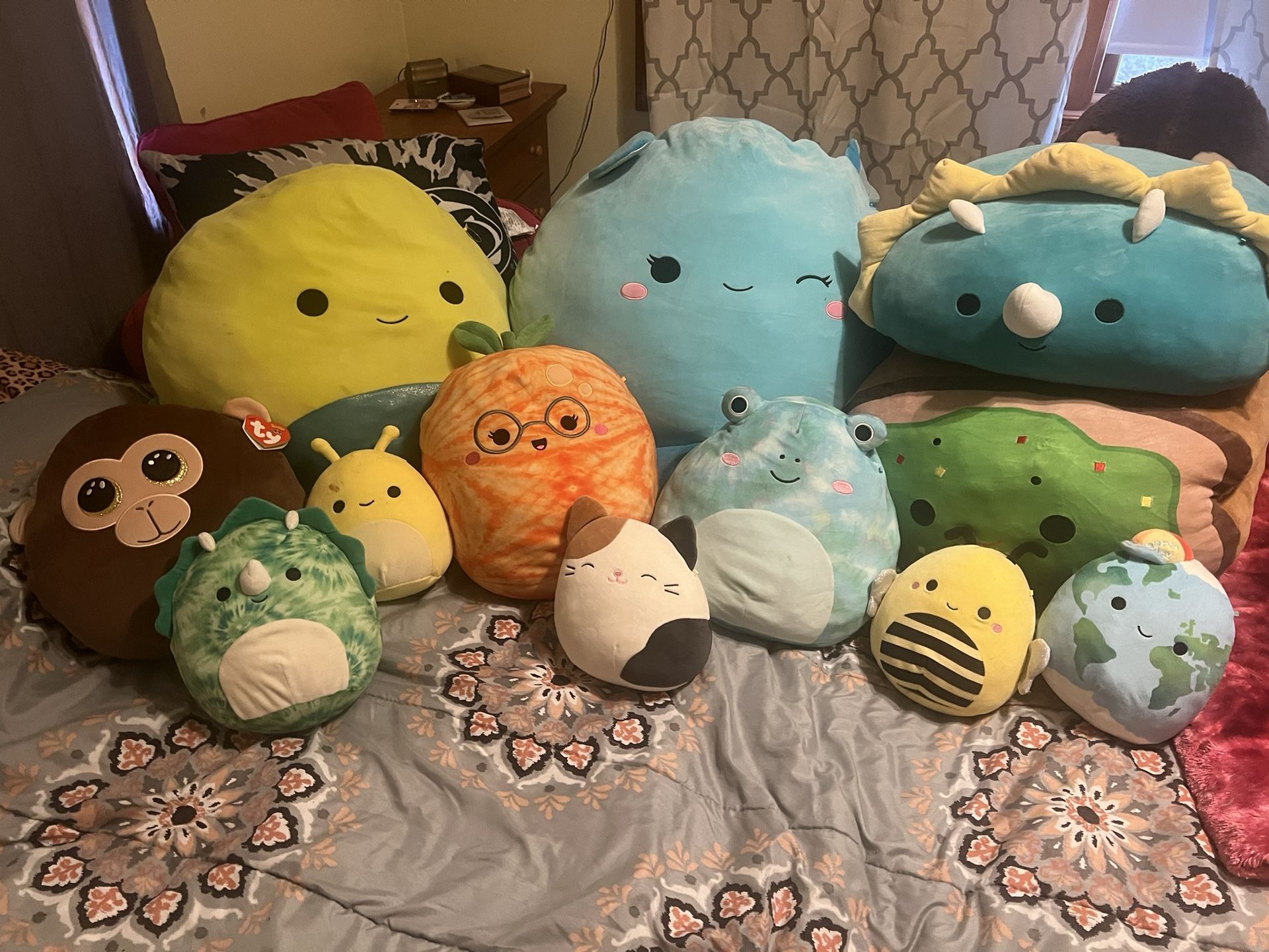 Squishmallow Lot