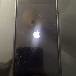 iPhone 7 With Tech 21 Case 