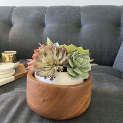 West Elm Plant With West Elm Wooden Bowl