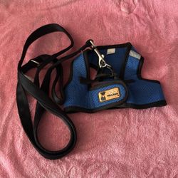 Dog Harness