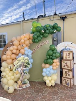 Balloon Backdrop