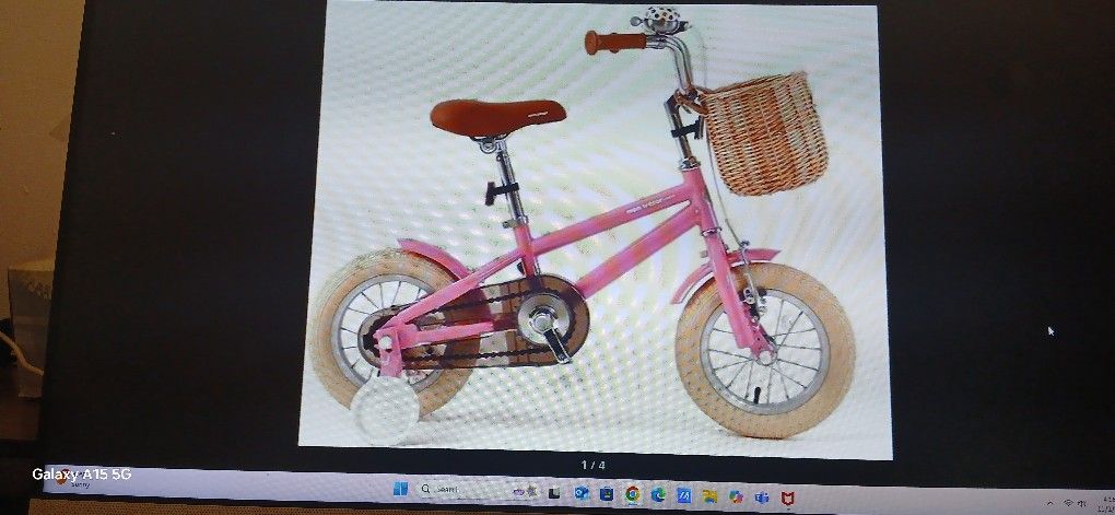 Montessor Toddler Bike