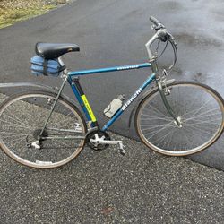 Vintage Bianchi Advantage