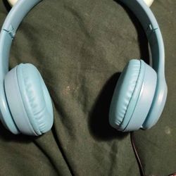 Earphones