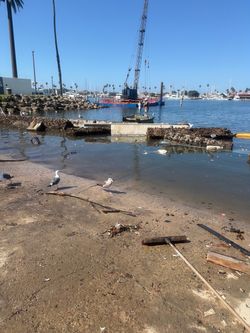 Dock or marina maintenance /repairs