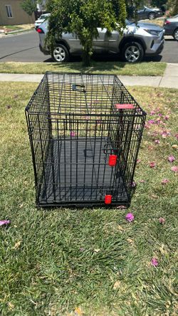 Kong Dog Crate