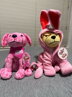 Raising canes plushies