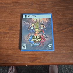 Double Dragon Gaiden Rise of The Dragons