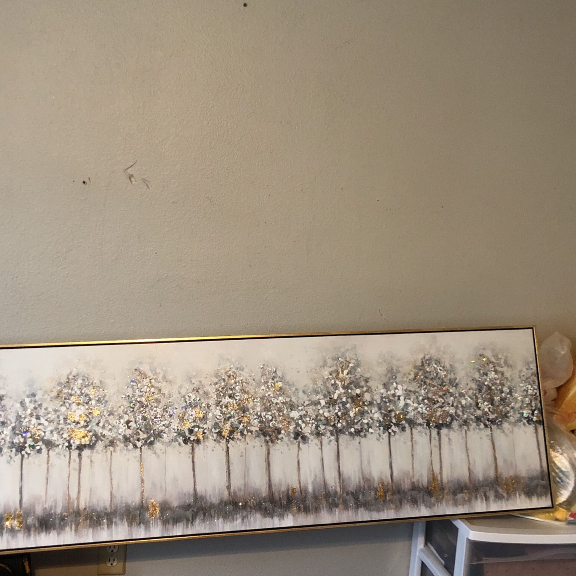 Beautiful Very Wide. Canvas. Like New