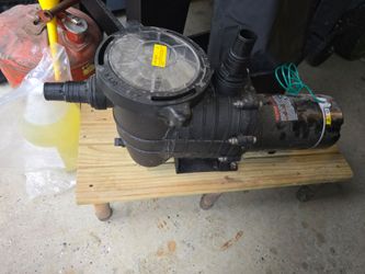 Swimming pool pump