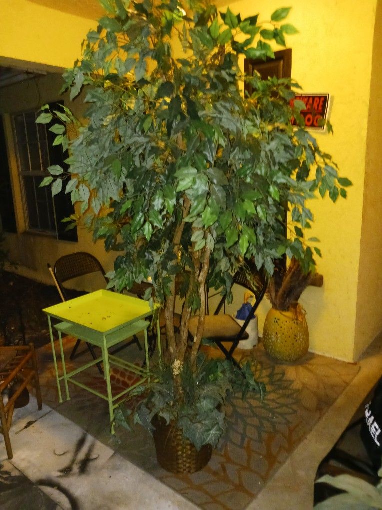 Gorgeous 6ft House Artificial Tree Plant Wicker Pot 20 Firm Look My Post Alot Items