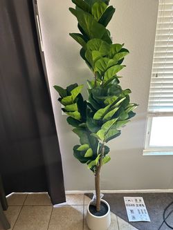 Artificial plant 6ft