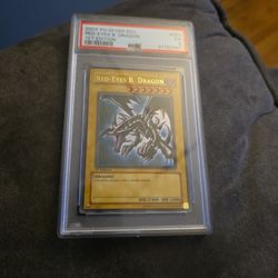 Red Eyes Black Dragon