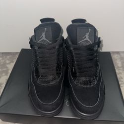 Jordan 4 “Black Cat” DS