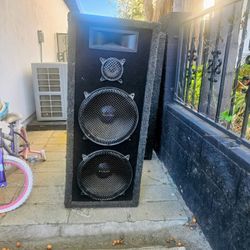 2 Large Speakers