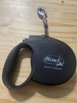 Flexi Leash And Collar