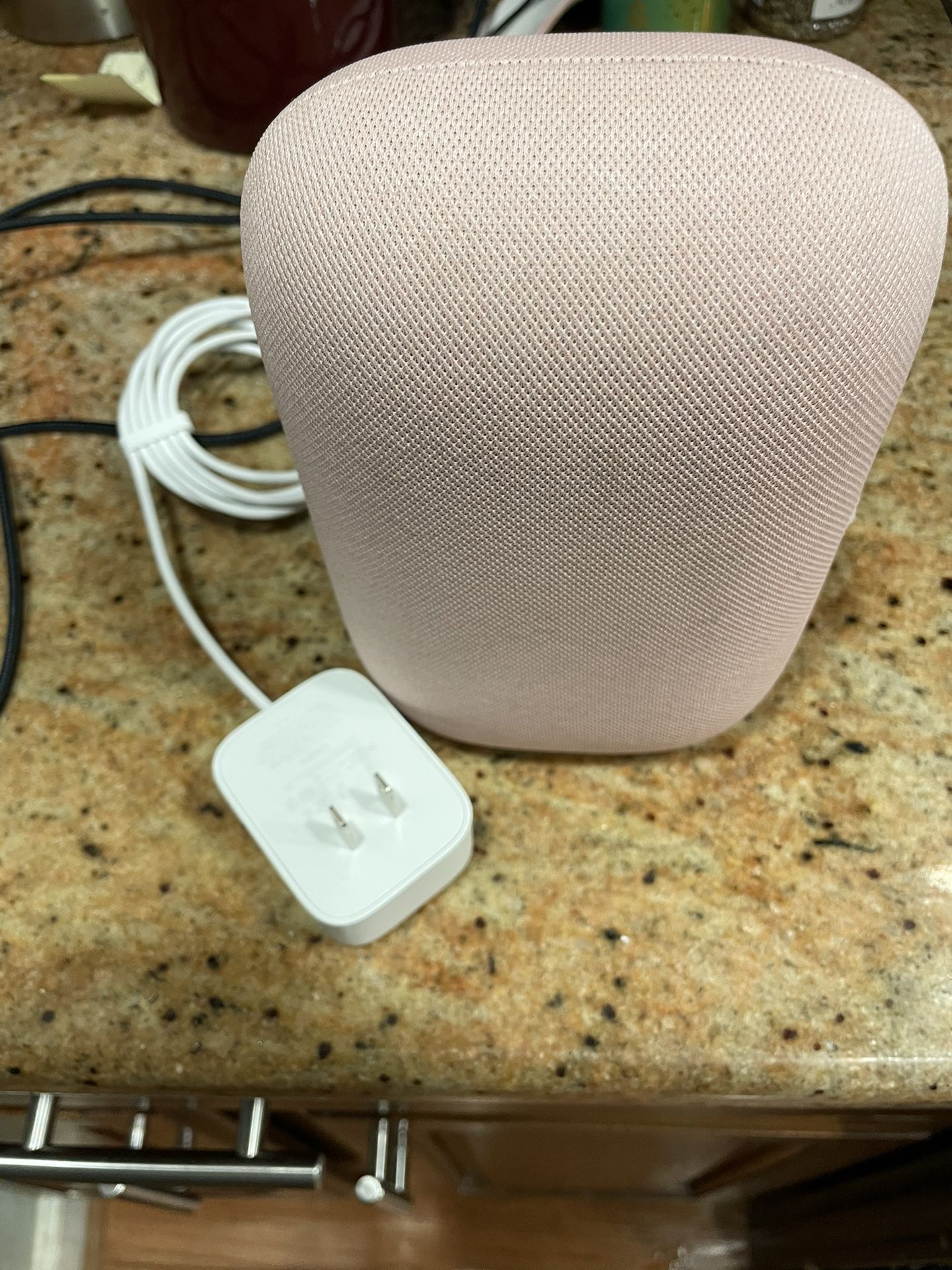 Google Nest Speaker