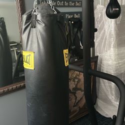 Punching Bag. Gym grade 
