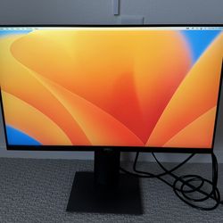 Dell Monitor 24” (Model P2419H)