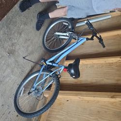 Roadmaster Bike