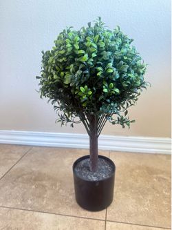 Artificial Plant