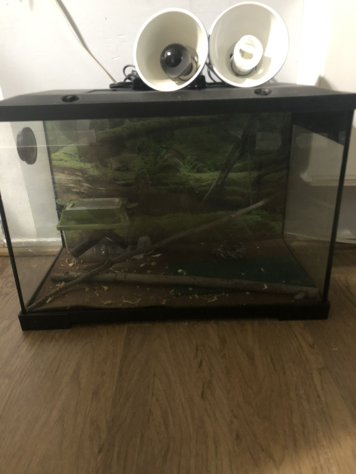 Reptile Tank 