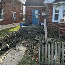Free Fire Wood - West York