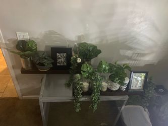 Chunky shelve and more