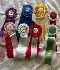 Horse Shoe Competition Robbins