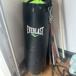 everlast punching bag