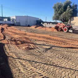 Tractor - Skid Steer - 