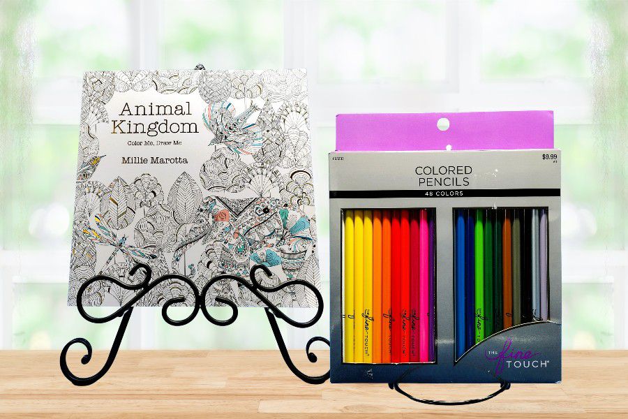NWT Animal Kingdom Color Me, Draw Me Coloring Book with Fine Touch Colored Pencils